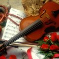 everything about love
