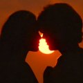 everything about love